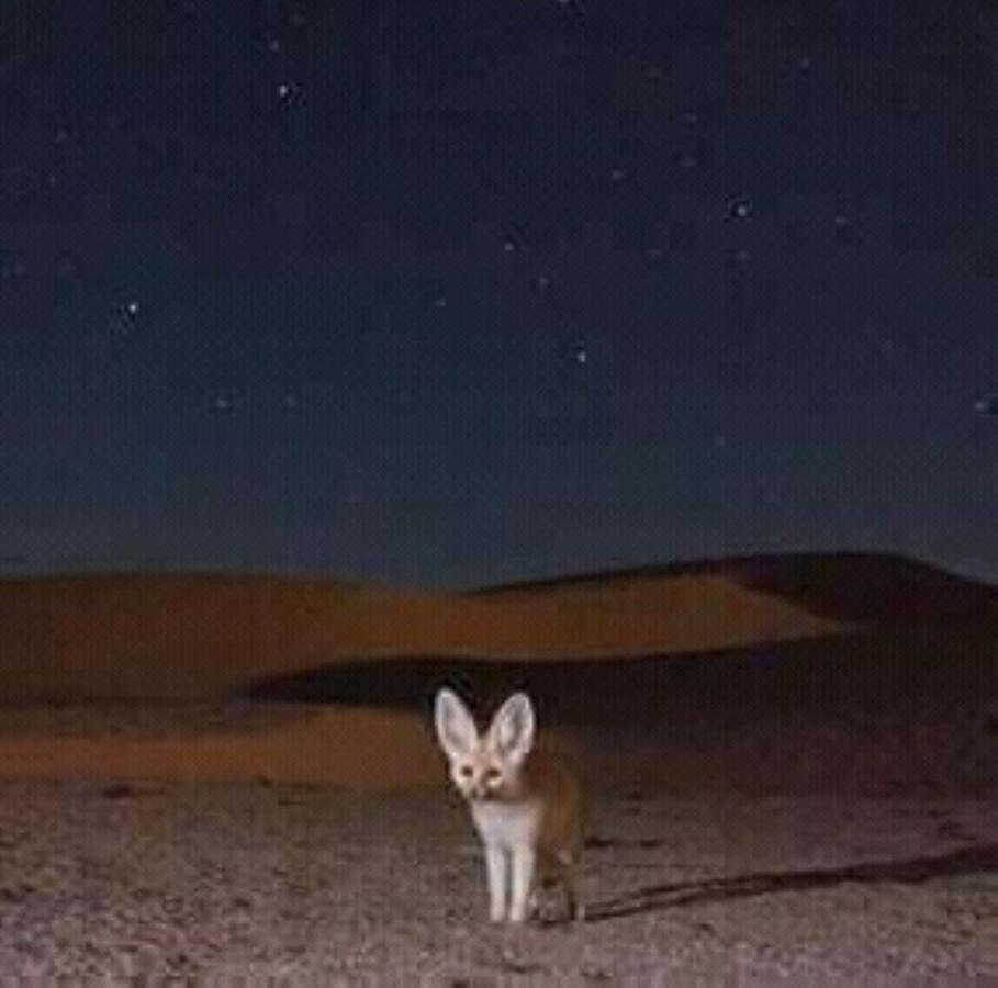 Hotel Restcamp Ergchebbi Merzouga Esterno foto